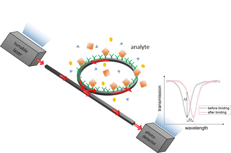 Optischer Biosensor: hochempfindlich und selektiv, schnell, klein und mobil -  diese und weitere Entwicklungen werden auf dem 2. EcoPhotonics Symposium vorgestellt. 