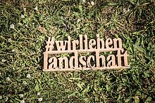 Am 29. August wurden in der Museumsscheune in Bloischdorf gleich zwei Jubiläen gewürdigt: 20 Jahre Brandenburger Energieholztag (EHT) und 30 Jahre Landschaftspflegeverein Spree-Neiße e.V. 