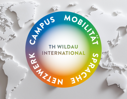 TH International Steuerrad Weltkarte Weltkarte