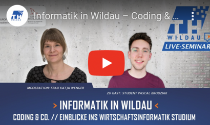 Coding & Co.;Einblicke Wirtschaftsinformatik