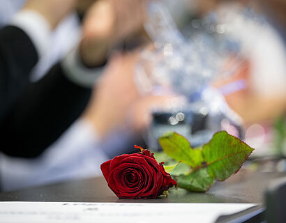 Rote Rose auf einem Tisch in Nahaufnahme