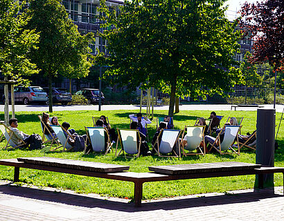 Studierende sitzen in Liegestühlen in einer Gruppe auf einer Campuswiese der TH Wildau