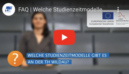 Welche Studienzeitmodelle gibt es an der TH Wildau