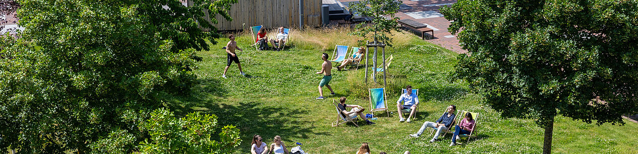 Studierende auf der Wiese auf dem Campus der TH Wildau