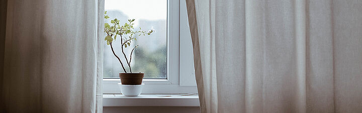 Blume auf dem Fensterbrett umgeben von langen beigefarbenen Vorhänge