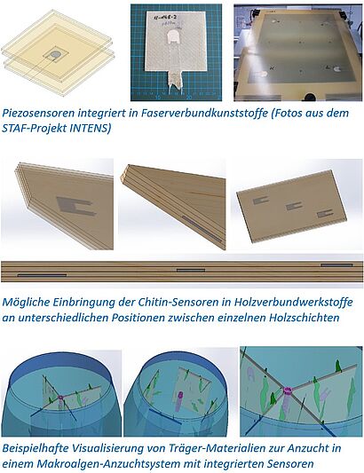 Bilder-Zusammenstellung Projekt NaFuVer